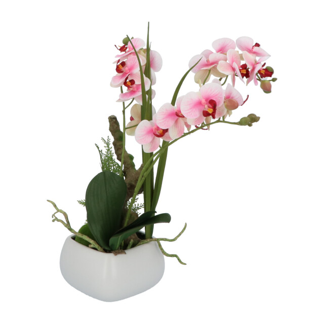 Kopu ® kunstbloem orchidee 46 cm lila bloempot vierkant phalaenopsis 2612722 large