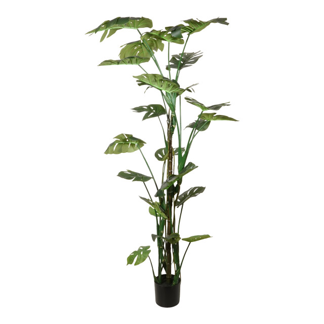 Kopu ® kunstplant split philodendron 180 cm 23 bladeren nepplant 2612773 large