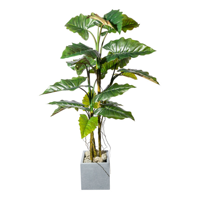 Kopu ® kunstplant colocasia 180 cm 19 bladeren in zwarte pot 2612753 large