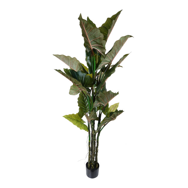 Kopu ® kunstplant colocasia 180 cm 19 bladeren in zwarte pot 2612753 large