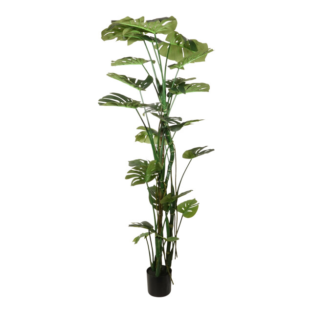 Kopu ® kunstplant split philodendron 180 cm 23 bladeren nepplant 2612773 large