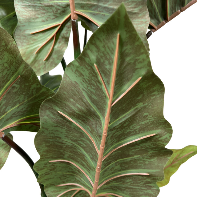 Kopu ® kunstplant colocasia 180 cm 19 bladeren in zwarte pot 2612753 large
