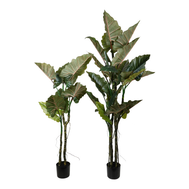 Kopu ® kunstplant colocasia 180 cm 19 bladeren in zwarte pot 2612753 large