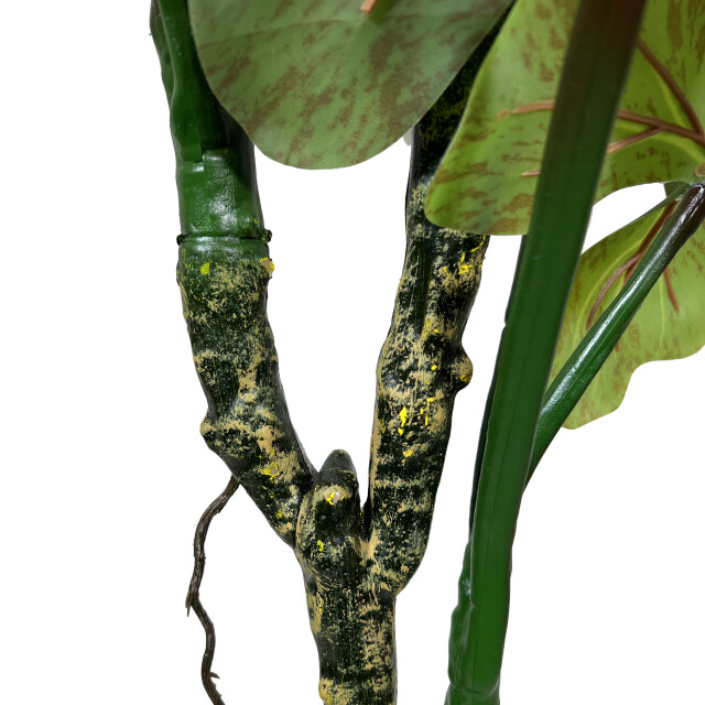 Kopu ® kunstplant colocasia 180 cm 19 bladeren in zwarte pot 2612753 large