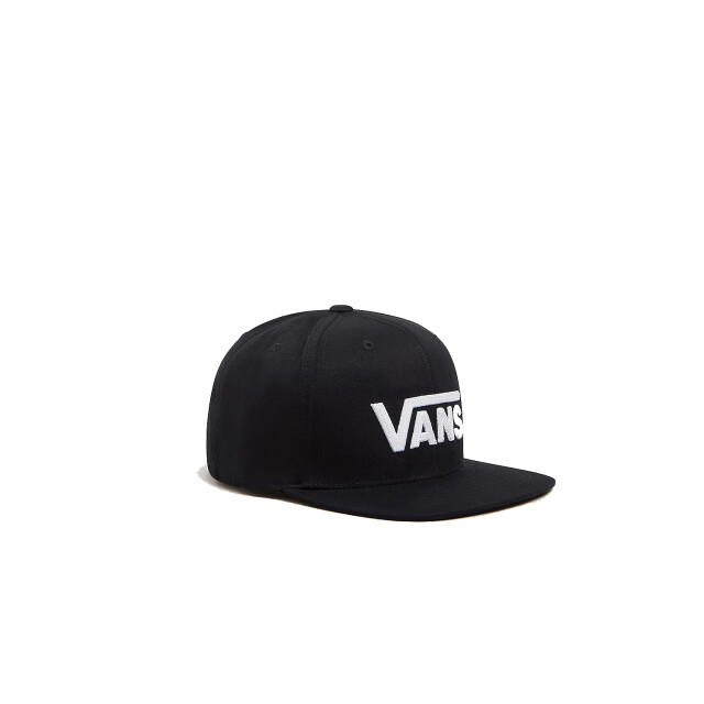 Vans Skate cap VN0A36OUY281 large