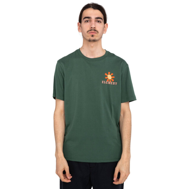 Element Casual t-shirt heren ELYZT00381 large