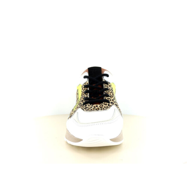 Piedi Nudi 237.01.030 Sneakers Print / Multi 237.01.030 large