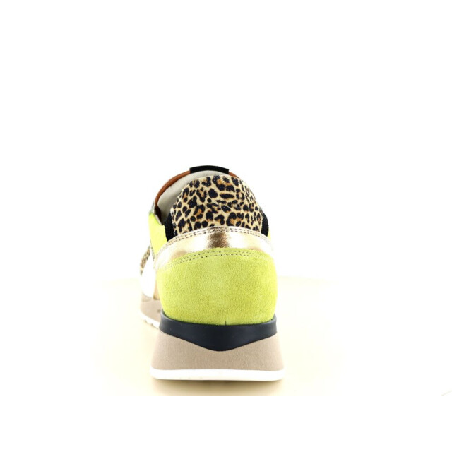 Piedi Nudi 237.01.030 Sneakers Print / Multi 237.01.030 large