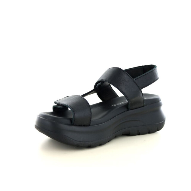Panama Jack 290.90.314 Sandalen Zwart 290.90.314 large