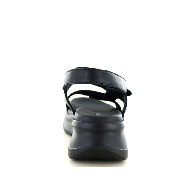 Panama Jack 290.90.314 Sandalen Zwart 290.90.314 large