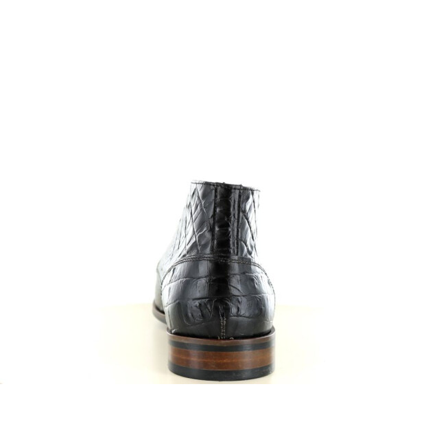 Berkelmans Albardon 161.90.193 161.90.193 large