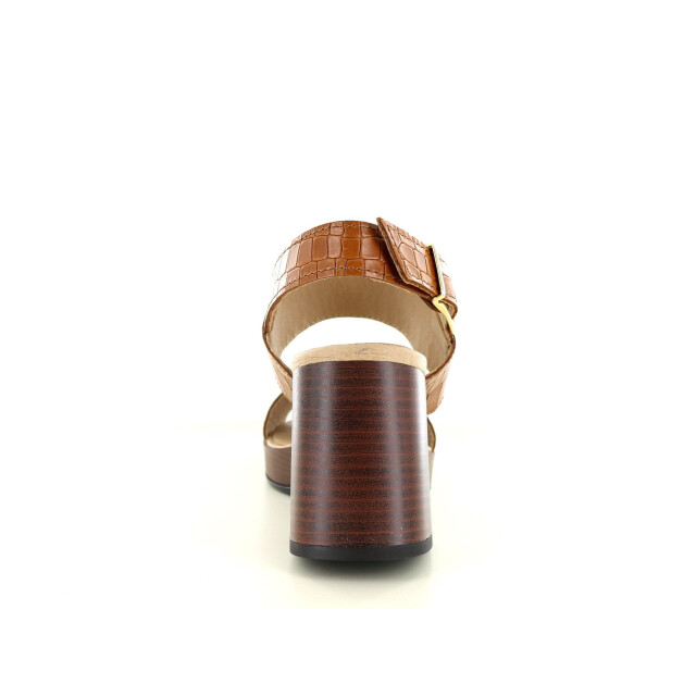 Bullboxer Bullboxer 256001e2l 214.33.017 214.33.017 large