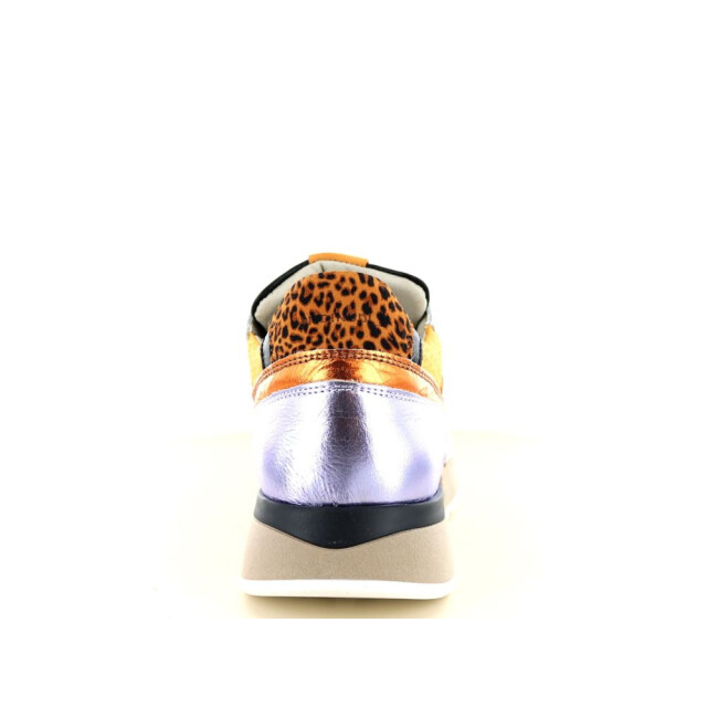 Piedi Nudi 237.01.029 Sneakers Print / Multi 237.01.029 large