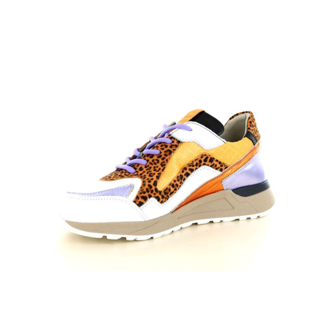 Piedi Nudi 237.01.029 Sneakers Print / Multi 237.01.029 large