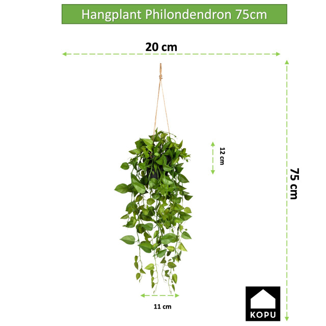 Kopu ® hangplant philodendron 75 cm macramé plantenhanger met pot 2612717 large