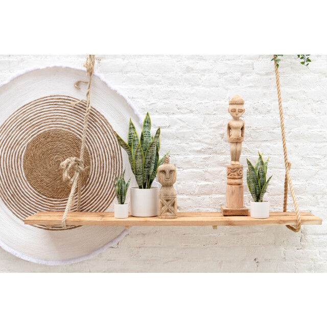 J-Line plant sansevieria in pot pvc large 14x14x49cm 3001292 large