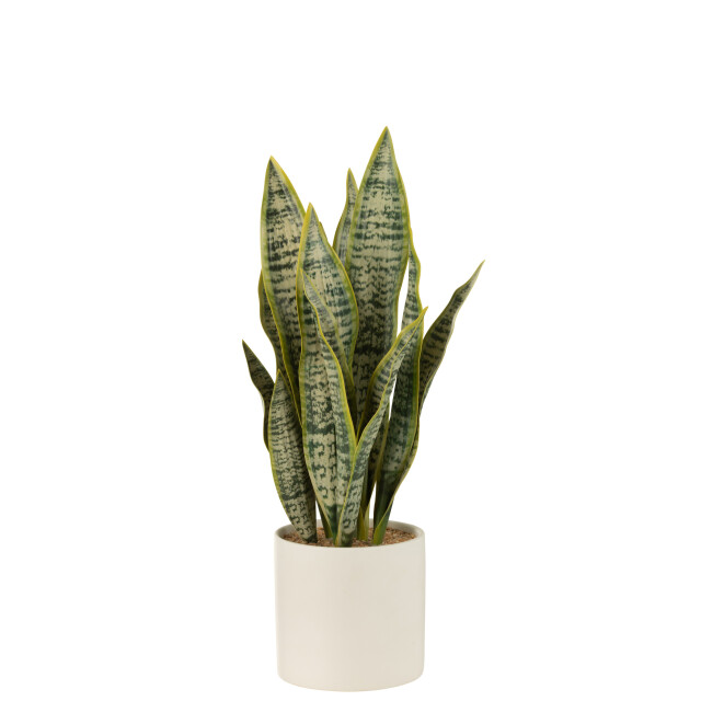 J-Line plant sansevieria in pot pvc large 14x14x49cm 3001292 large