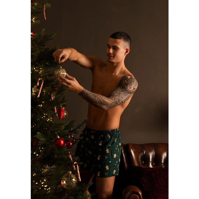 Happy Shorts Heren wijde boxershorts kerst print 2-pack lichtblauw/groen HS-377+378 large