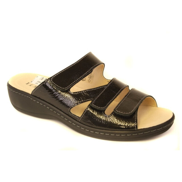 Longo 7536 7536 large