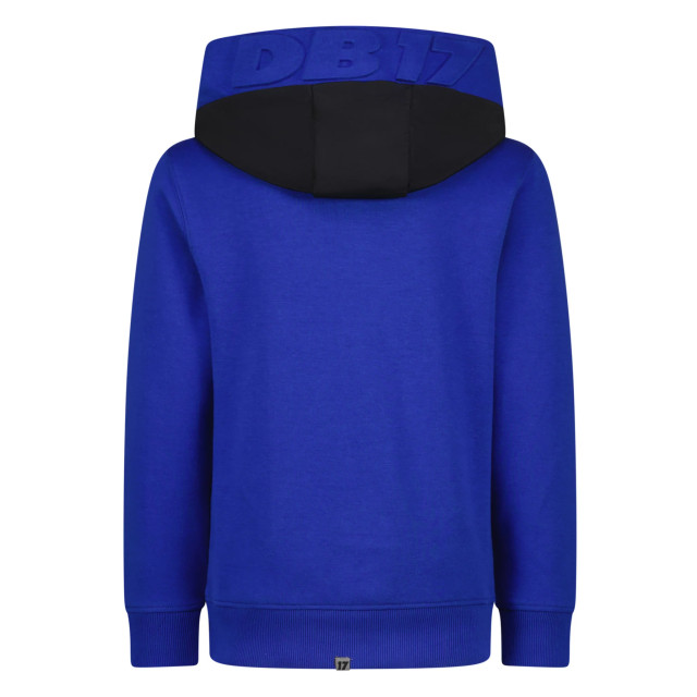 Vingino 154993275 Sweaters Blauw 154993275 large