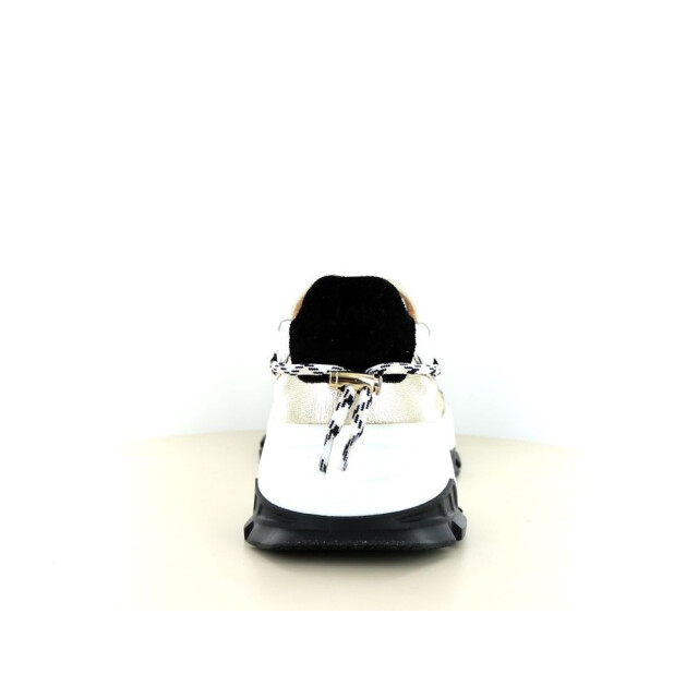DWRS Label Bonney 2.01.036 237.01.036 large