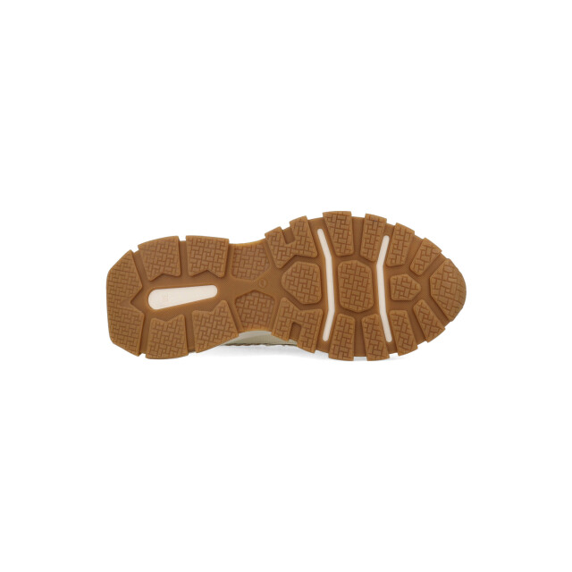 DWRS Label Bonney teddy b10653-12-1386 / bronze B10653 large