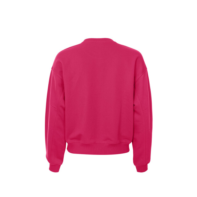 Looxs Revolution Lxs sweater pink voor dames in de kleur 2432-9318-235 large