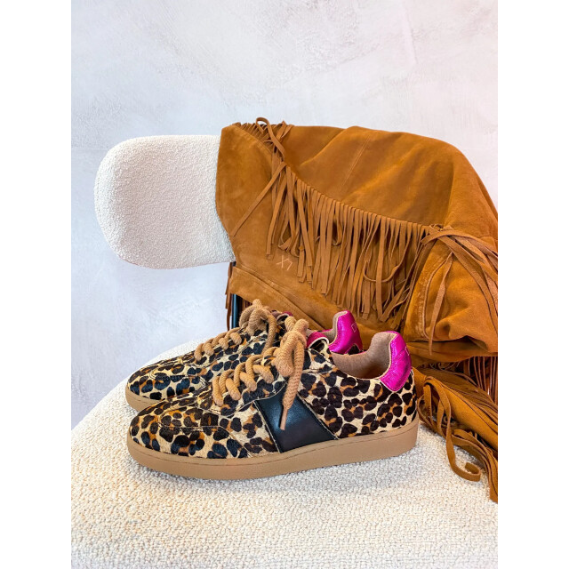 DWRS Label B11456-13 poona leopard combi black/fuchsia B11456-13 large