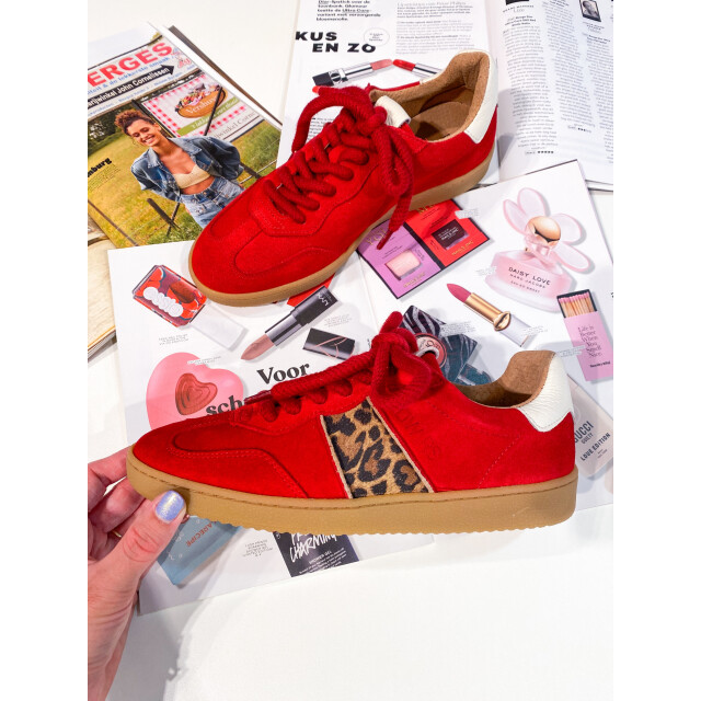 DWRS Label Poona leopard B11456-12-5348 large