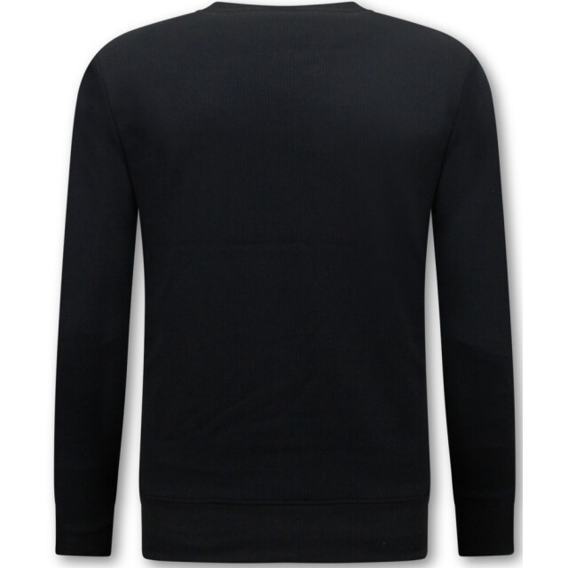 Top-Star Trui icon sweater 3060 large