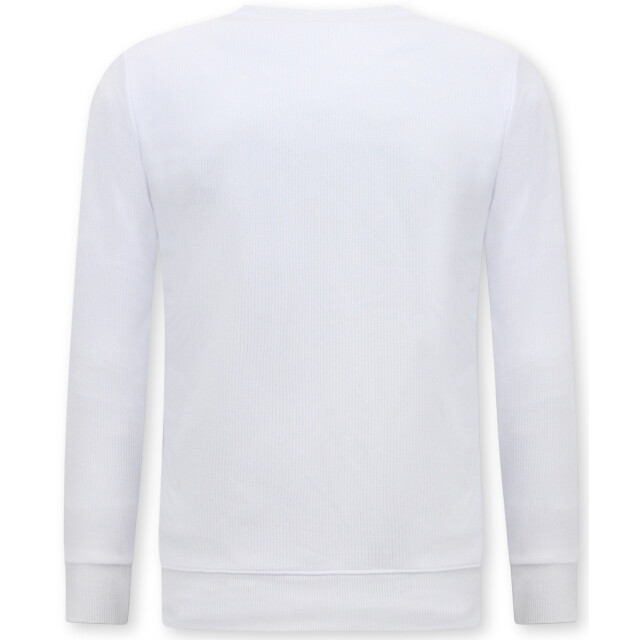 Top-Star Sweater icon trui 3060 large