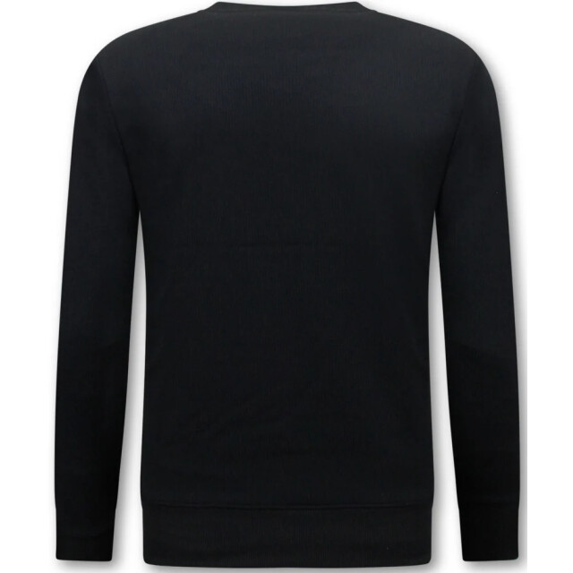 Top-Star Trui icon sweater 3060 large
