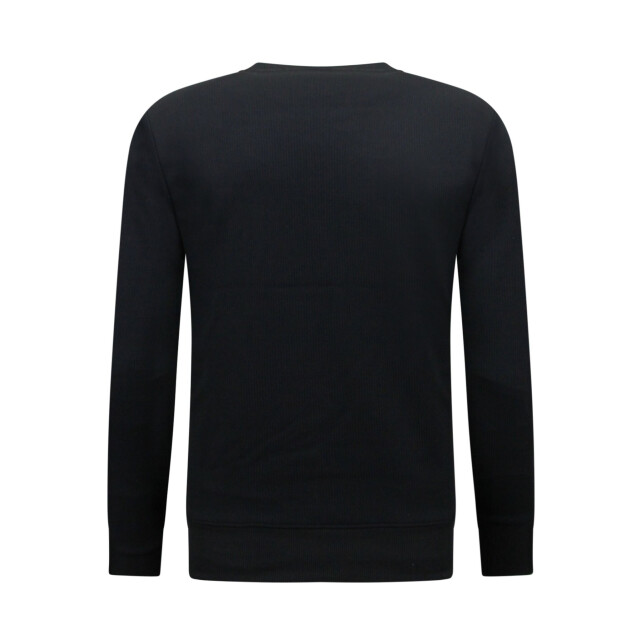 Top-Star Trui icon sweater 3060 large