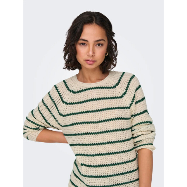 Jacqueline de Yong Ellen l/s oneck raglan pullover knt 15312077 large