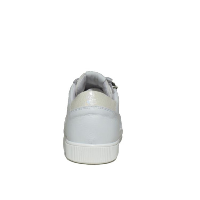 Aqa A8531 A8531 large