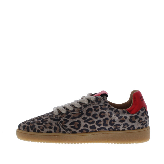 DWRS Label Dames sneaker poona | dames | maat: | suede 109695 large