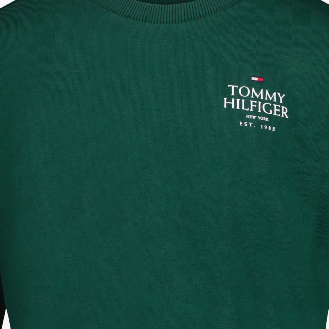 Tommy Hilfiger Jongens trui TommyHilfigerKB0KB09194 large