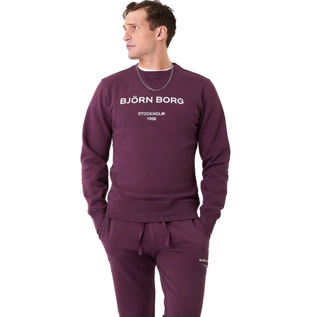 Björn Borg Heren borg centre crew 10001379-PE003 large