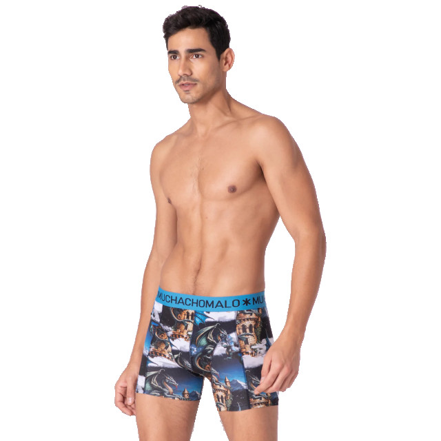 Muchachomalo Heren 12-pack boxershorts print/effen U-GOLDEN1010-13 large