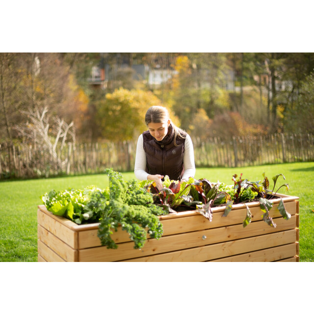 Westmann Houten verhoogde plantenbak moestuin asket xl 160x70x90cm 3047646 large