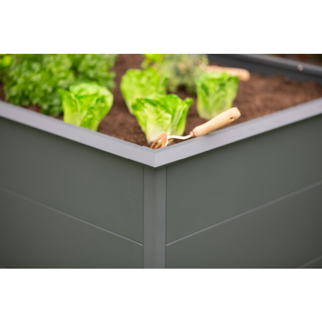 Westmann Hoge plantenbak primus xl wmhps772010 200x100x77 cm 3039754 large