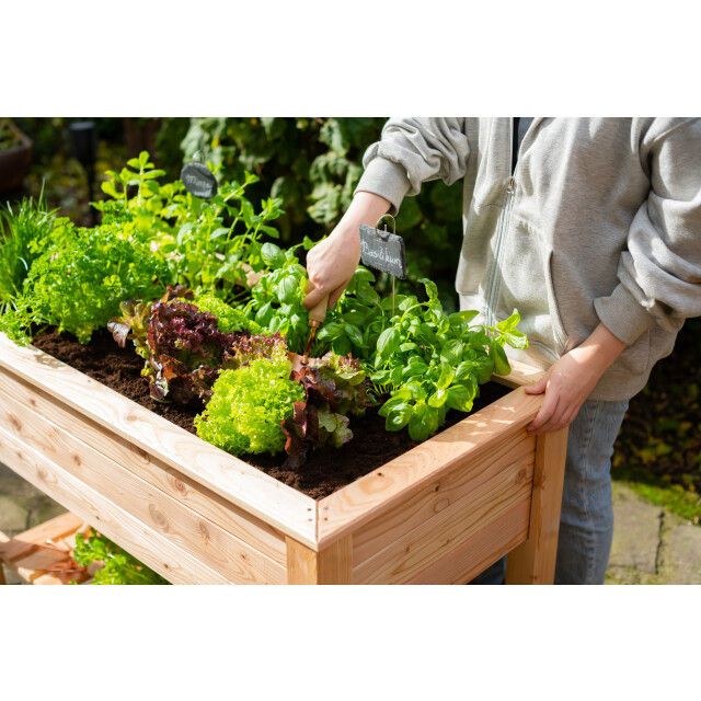 Westmann Plantenbak wm102420 tuin hochbeed 3039772 large
