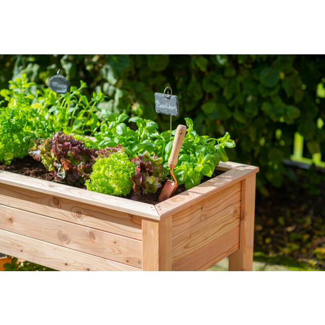 Westmann Plantenbak wm102420 tuin hochbeed 3039772 large