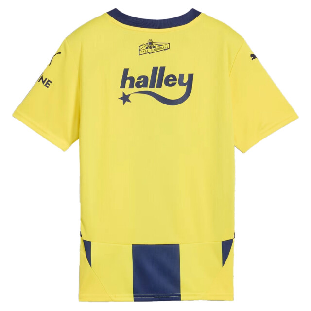 Fenerbahçe Home jersey replica 131542 large