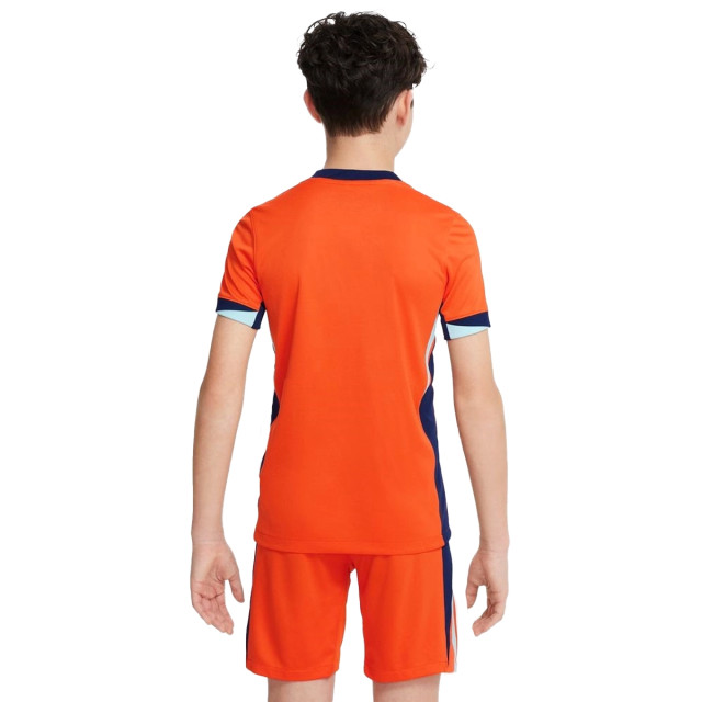 Nederlands Elftal Thuis wedstrijdshirt 24/25 130912 large