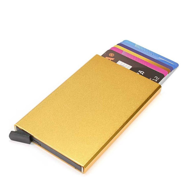 Dstrct Cardholder metallic 1300998 HC11 large