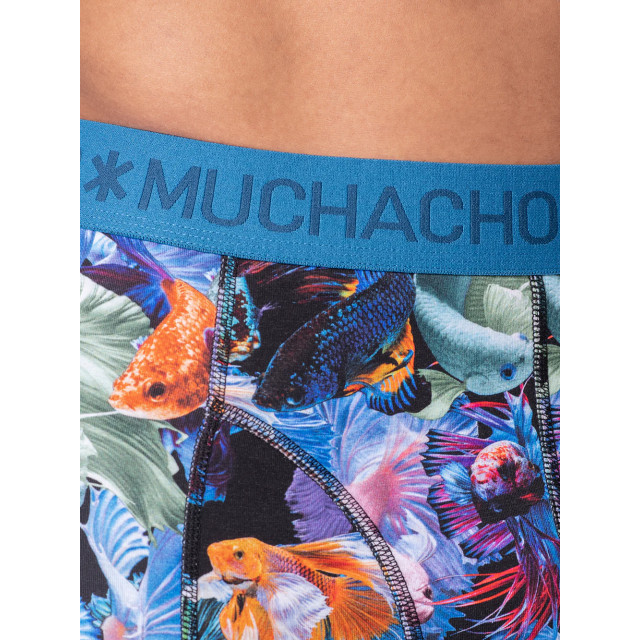 Muchachomalo Heren 5-pack boxershorts print/effen U-OUTLT1010-203 large