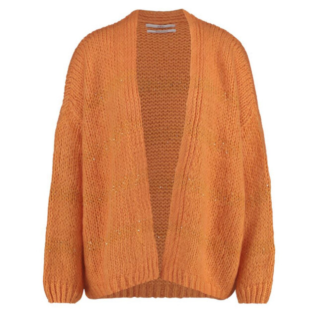 Vila Viril open ls knit cardigan noos abricot 4249.44.0001 large