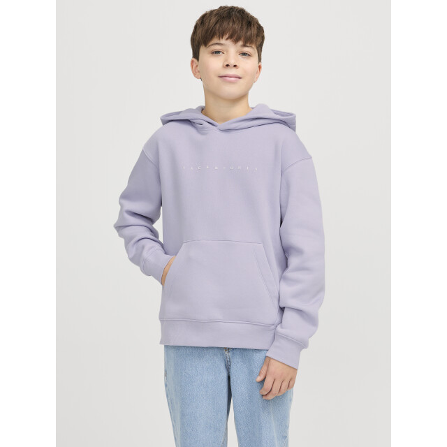 Jack & Jones Jjestar jj sweat hood noos jnr 12237468 large