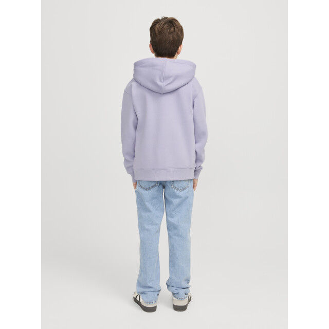 Jack & Jones Jjestar jj sweat hood noos jnr 12237468 large